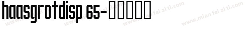 haasgrotdisp 65字体转换